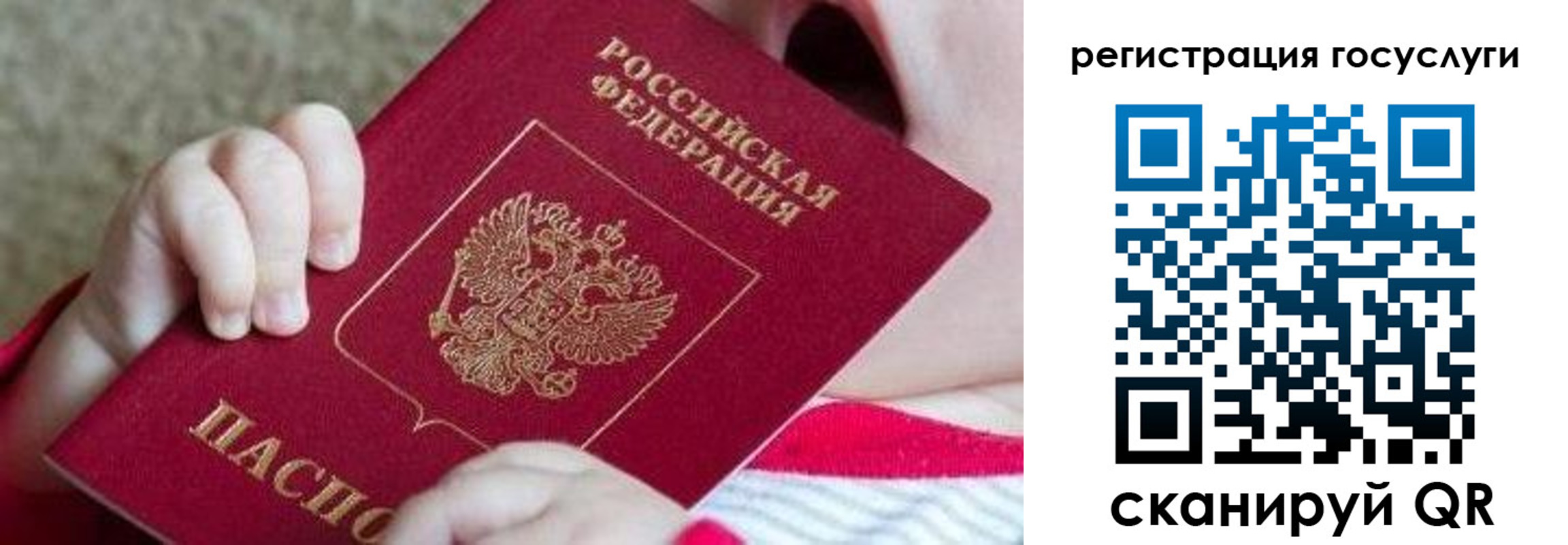 временная регистрация для всех в Покрове